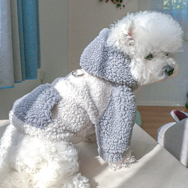 Suéter Para Cachorro Com Suporte de Guia - Penny R - ROUPA - 36