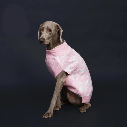 Suéter de Inverno para Cachorro com Estampa de Coração
