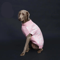 Suéter de Inverno para Cachorro com Estampa de Coração