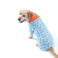 Roupa Feminina para Cachorro com Estampa Romântica