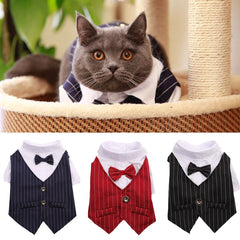 Roupa Social para Gato com Gravata Borboleta