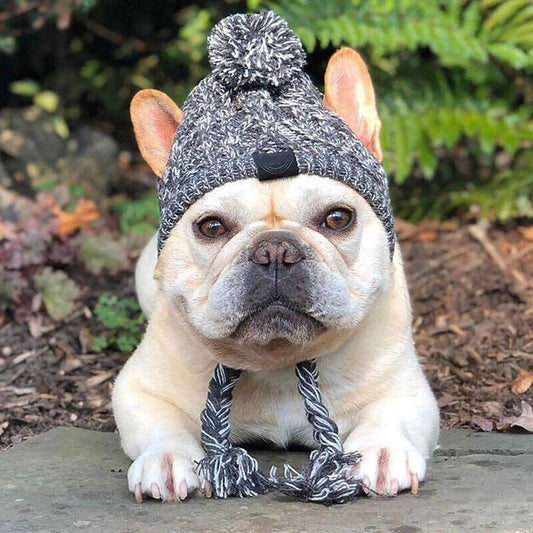 Gorro Para Cachorro Em Tricô Com Pompom E Protetor De Orelhas