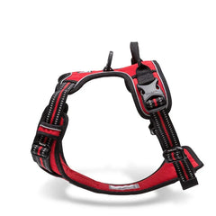 Peitoral Luna para Cães LN102 C - PEITORAL - 14