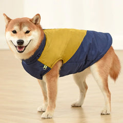 Colete Impermeável e Refletivo para Cães no Frio — Boreal