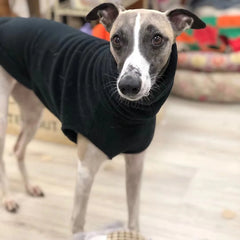 Colete Quente Para Cachorro Galgo