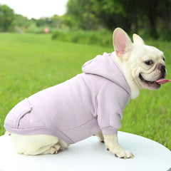 Moletom com Capuz Espessado para Cães Pequenos — Estilo Casual