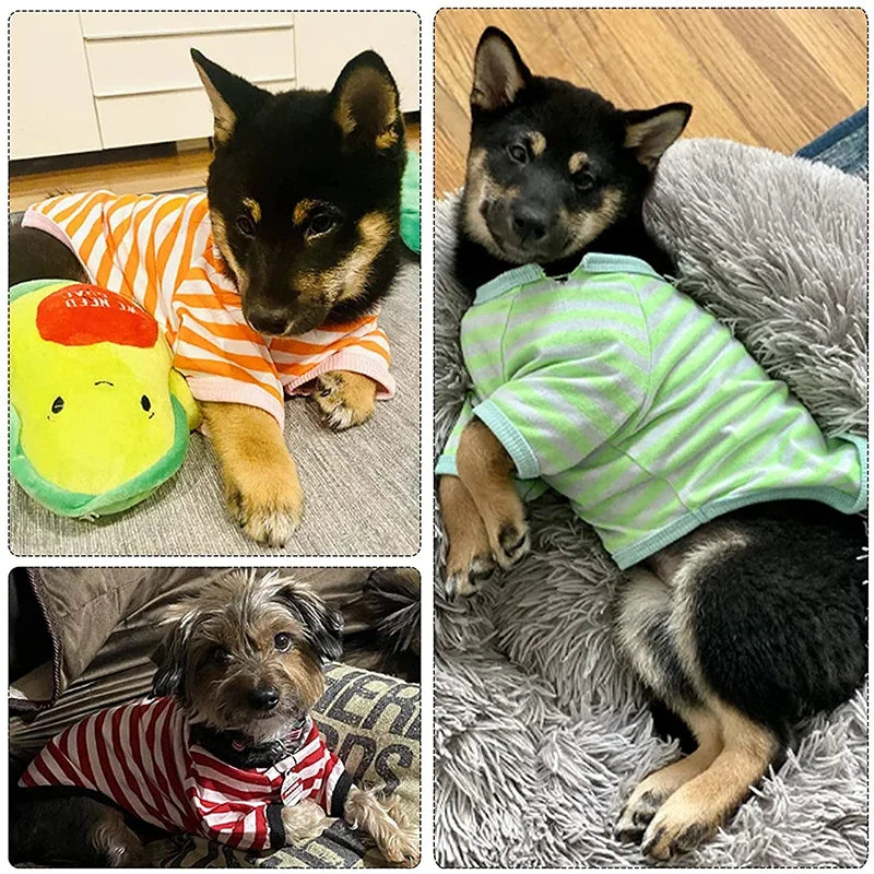 Camiseta Fresca para Cães VerãoLuna LN334 VERAO - 06