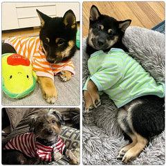 Camiseta Fresca para Cães VerãoLuna LN334 VERAO - 06