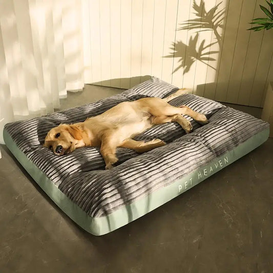 Cama de Veludo Para Cães - Savannah C - CAMA - 55