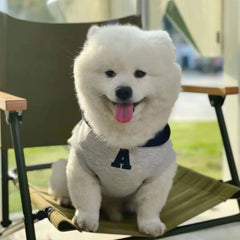 Moletom Quentinho para Pets com Capuz Ajustável