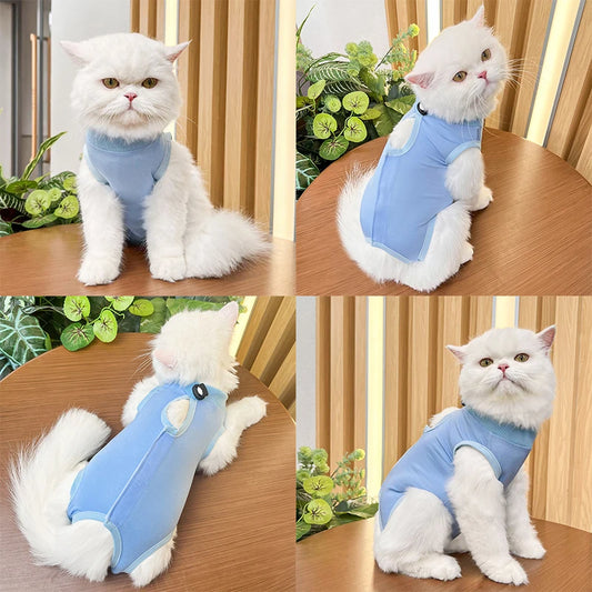 Roupa Pós-Cirúrgica para Gatos Colorida Confortável e Respirável