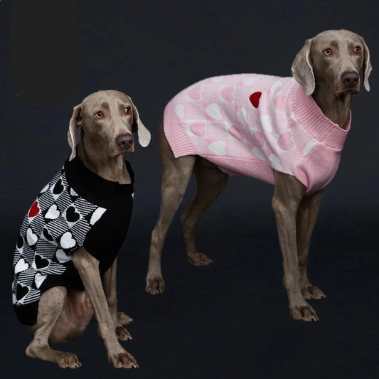 Suéter de Inverno para Cachorro com Estampa de Coração