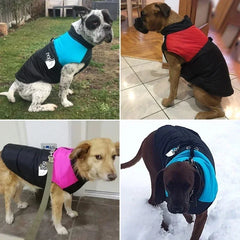 Jaqueta Softshell para Cães Grandes com Design Bicolor e Refletivos