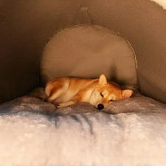 Cama Para Cachorro - Tank C - CAMA - 40