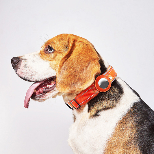 Coleira para cães e gatos com suporte para rastreador AirTag ColorRide CL - 05