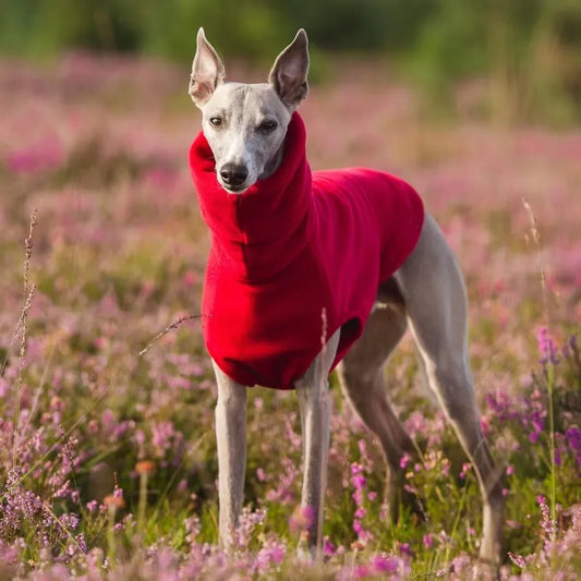 Colete Quente Para Cachorro Galgo
