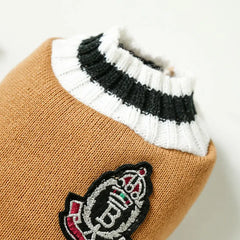Moletom Universitário Para Pet R - ROUPA - 74