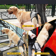 Suporte Ortopédico para Cães com Mobilidade Reduzida