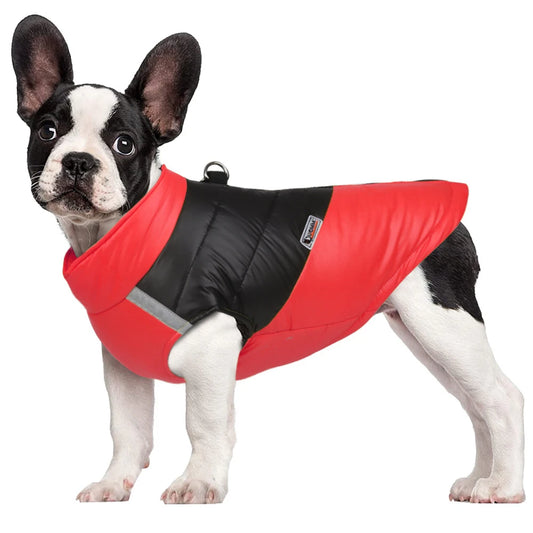 Colete Puffer Bicolor com D-Ring Metálico para Cães