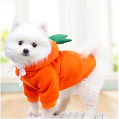 Fantasia de Frutas em Lã para Cães Pequenos — Moletom com Capuz