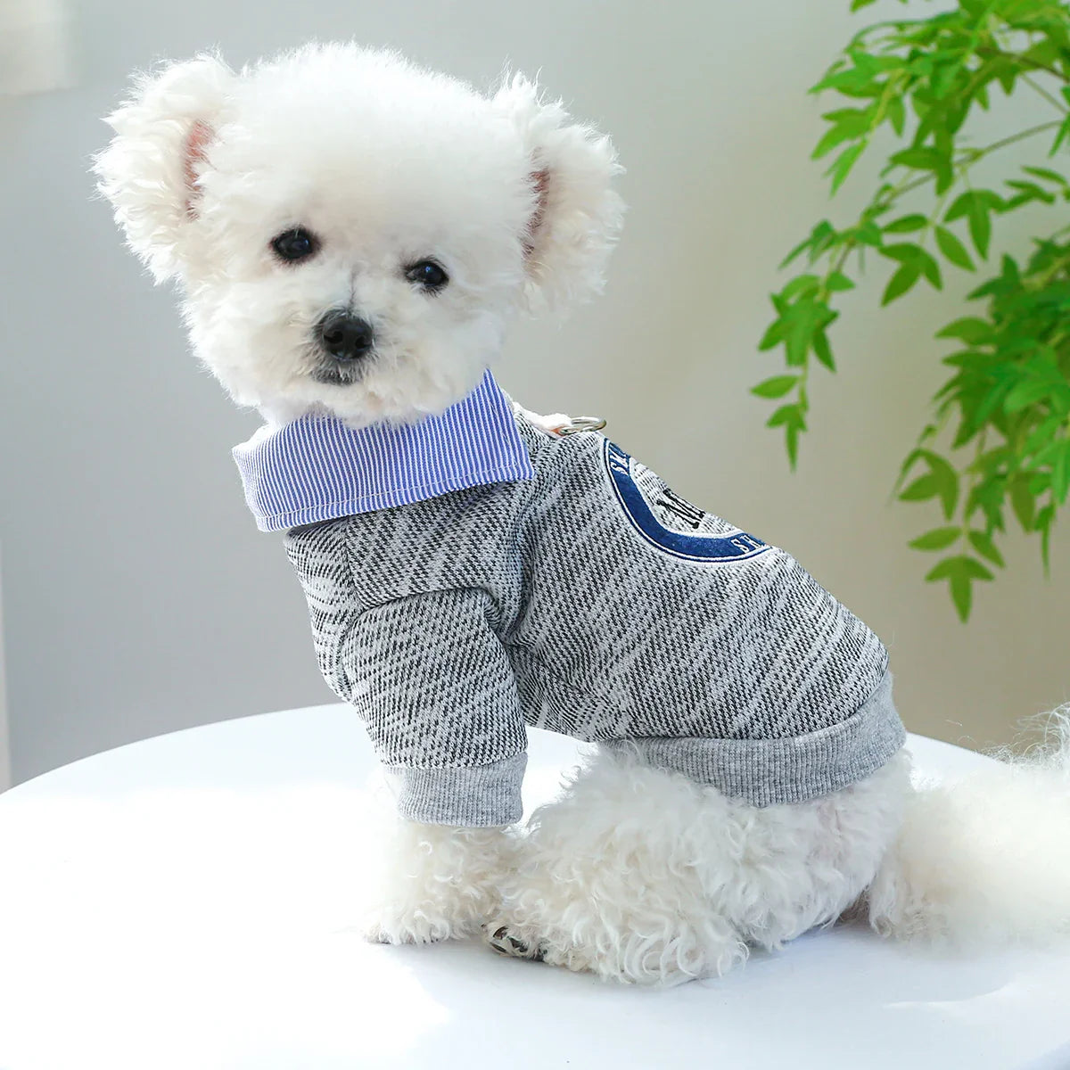 Moletom Com Gola Para Cães - Gus R - ROUPA - 39