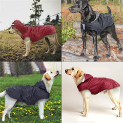 Capa de Chuva com Capuz Refletivo para Cães — Todos os Tamanhos