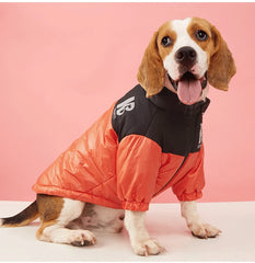 Jaqueta Softshell Pet para Cães e Gatos com Logo NB e Ajuste Anatômico