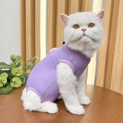 Roupa Pós-Cirúrgica para Gatos Colorida Confortável e Respirável