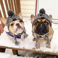 Gorro Para Cachorro Em Tricô Com Pompom E Protetor De Orelhas