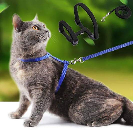 Peitoral e Guia para Gatos Luna LN912 C - COLEIRA - 26