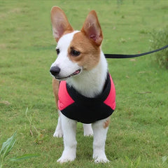 Jaqueta Softshell para Cães Grandes com Design Bicolor e Refletivos