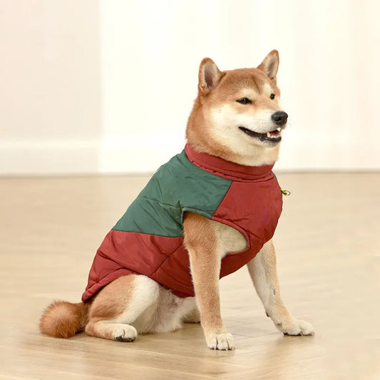 Colete Impermeável e Refletivo para Cães no Frio — Boreal