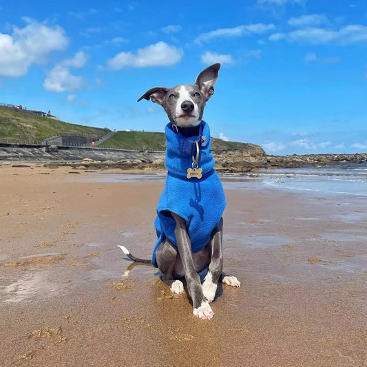 Colete Quente Para Cachorro Galgo
