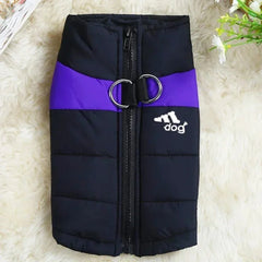Jaqueta Softshell para Cães Grandes com Design Bicolor e Refletivos