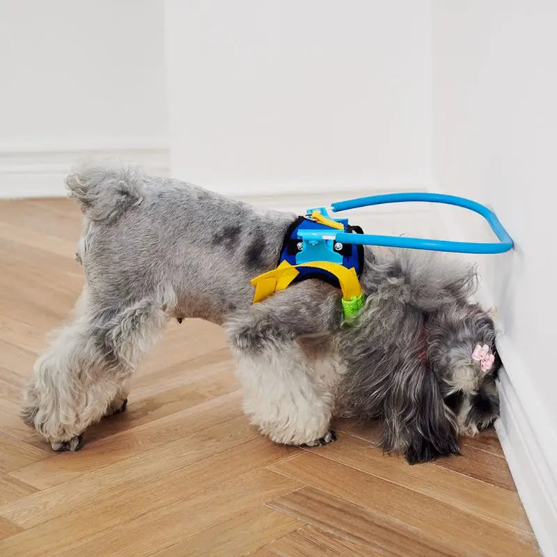 Coleira Anticolisão para Cães Cegos Luna LN674 C - COLEIRA - 29