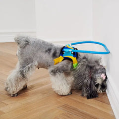 Coleira Anticolisão para Cães Cegos Luna LN674 C - COLEIRA - 29
