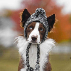 Gorro Para Cachorro Em Tricô Com Pompom E Protetor De Orelhas