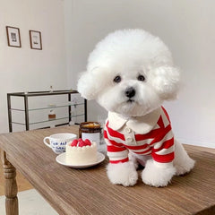 Camiseta Para Cachorro Polo Listrada Com Gola Social