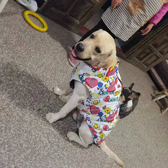 Roupa Estampada para Cachorro com Suporte para Guia R - ROUPA - 27