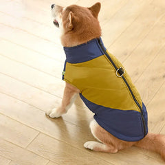 Colete Impermeável e Refletivo para Cães no Frio — Boreal