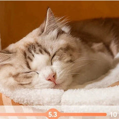 Casa Para Pet Super Quentinha - Pelúx C - CAMA - 09