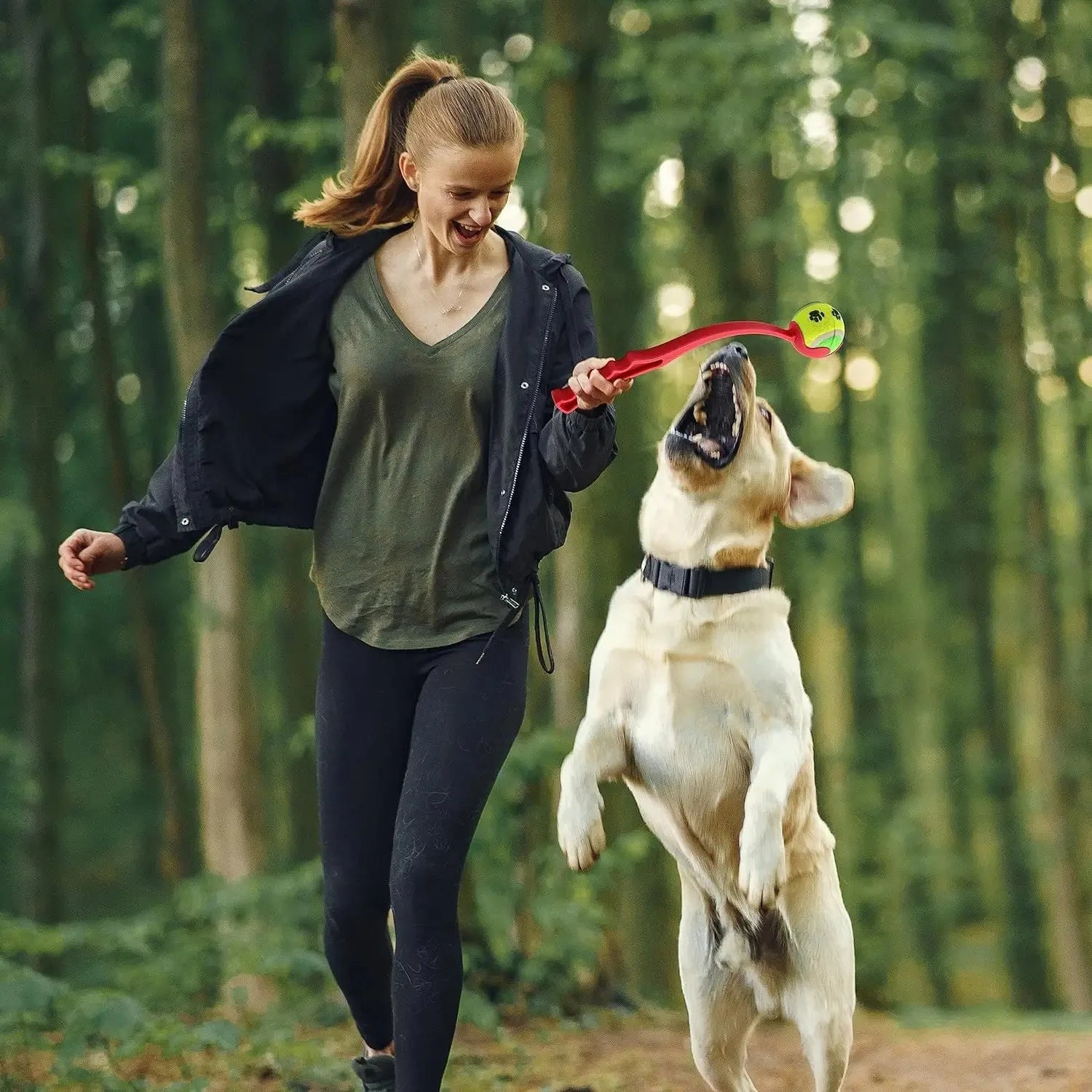 Vara de Lançamento de Bolinhas para Cães