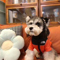 Casaco Puffer para Cães com Gola Alta e Tecido Impermeável