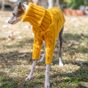 Roupinha De Tricô Para Cachorro Galgo - Jazz