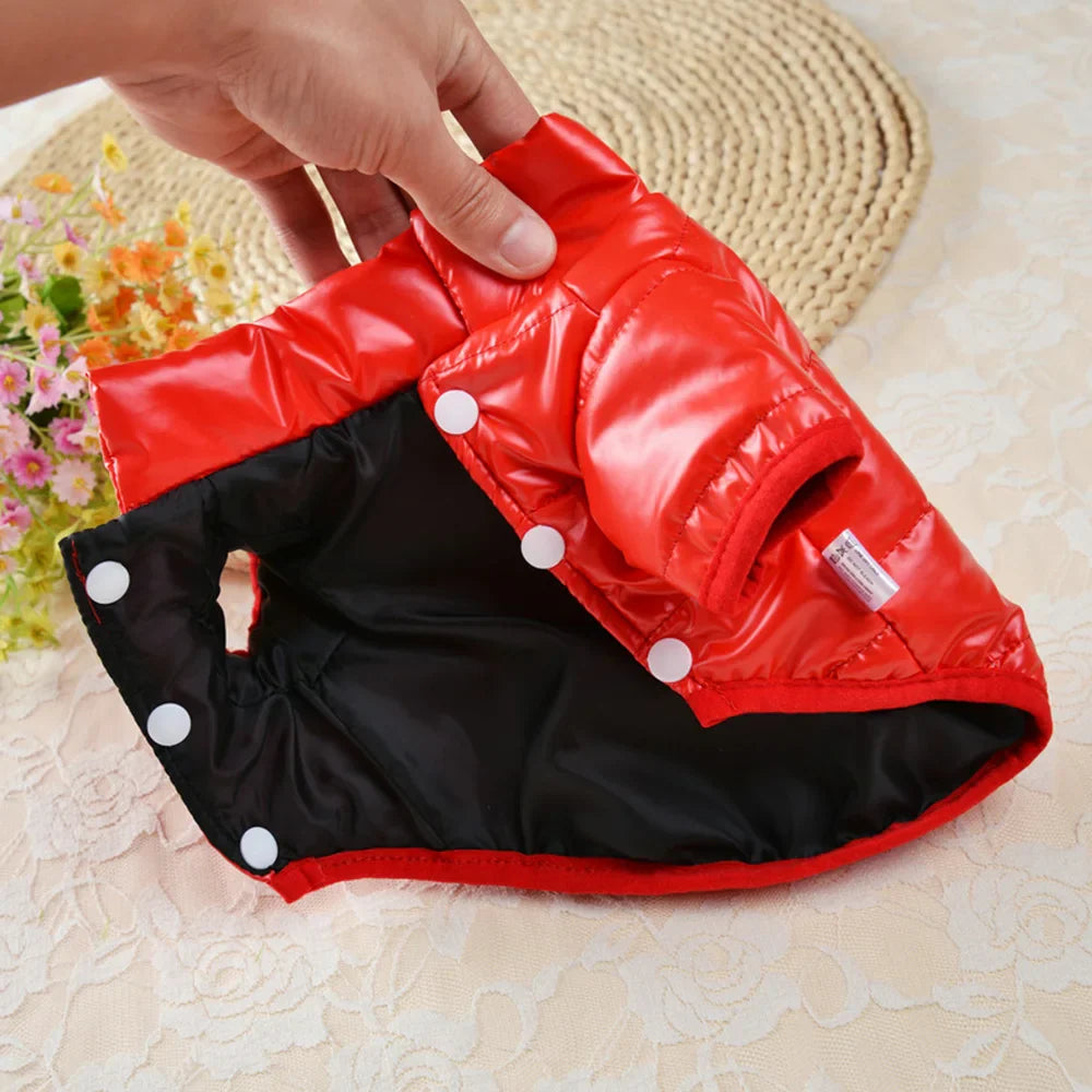 Jaqueta Grossa Para Cachorro - Duke R - ROUPA - 32