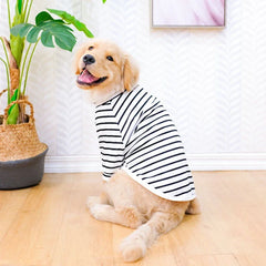 Camiseta Fresca para Cães Grandes DogFresh VERAO - 0133