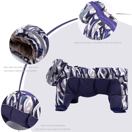 Roupinha Estilo Bomber para Pet com Design Casual