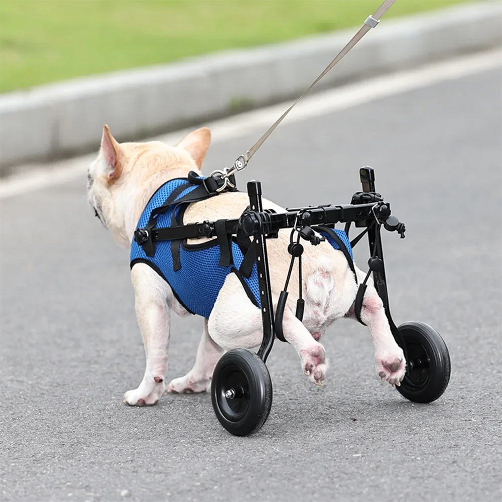 Cadeira de Rodas Para Cachorro - Aid Car S - CADEIRA DE RODA - 01