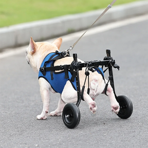 Cadeira de Rodas Para Cachorro - Aid Car