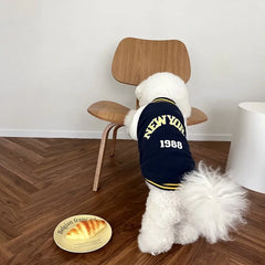 Jaqueta College para Pets Estilo New York 1988